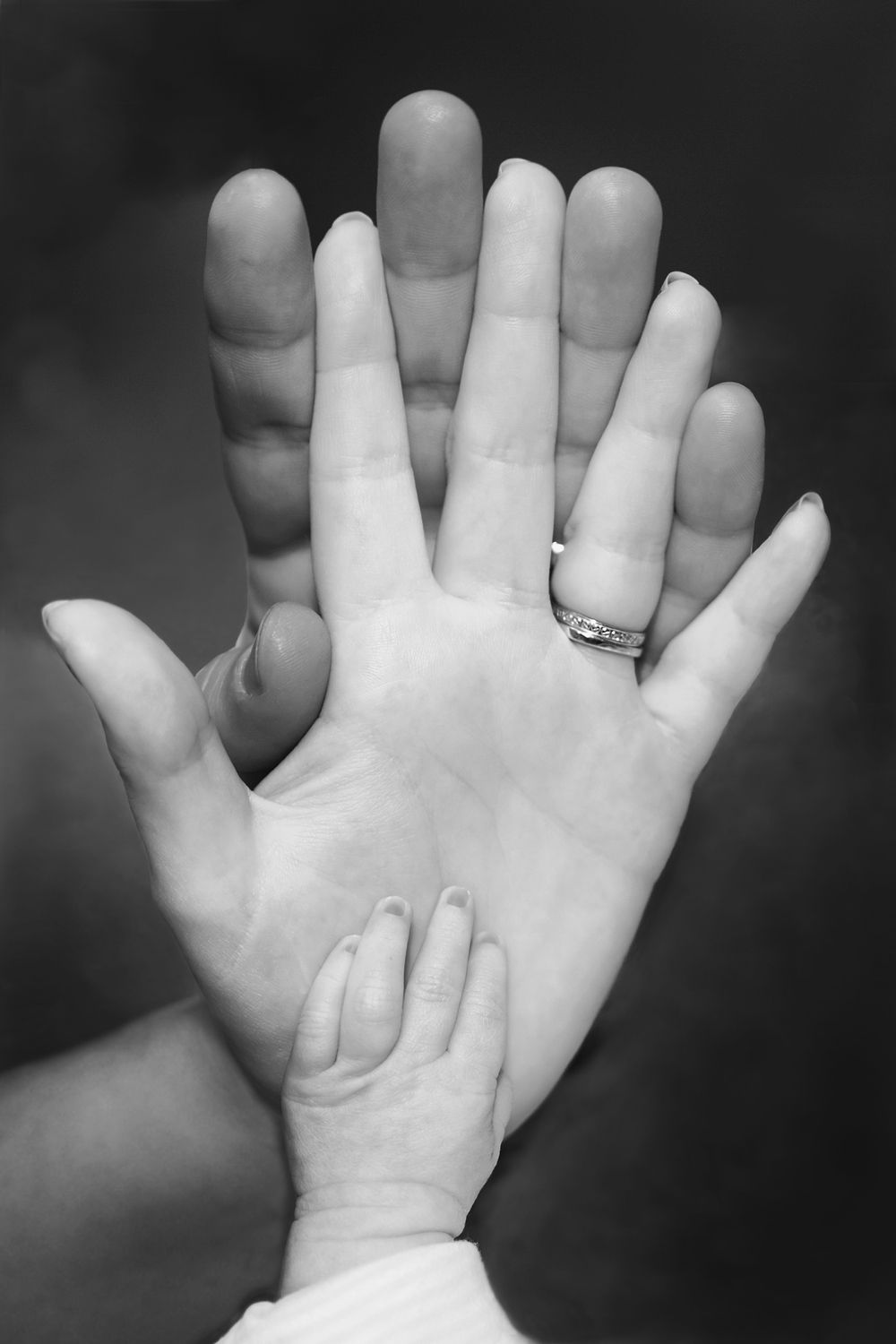 Free family's hand image
